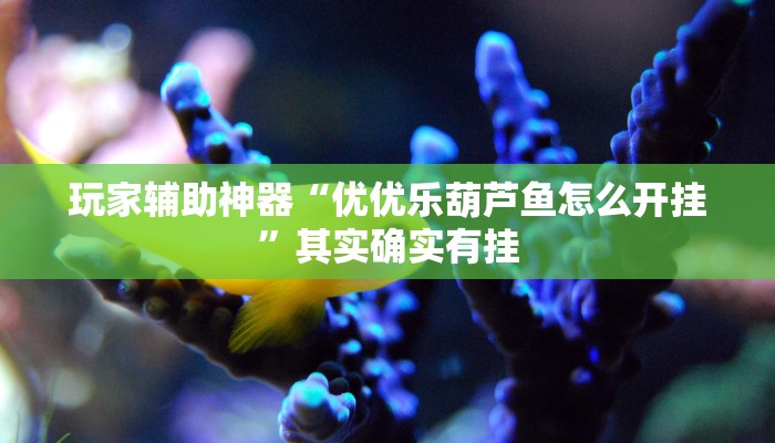 分享教程“wpk俱乐部开挂透视辅助挂”开挂详细教程