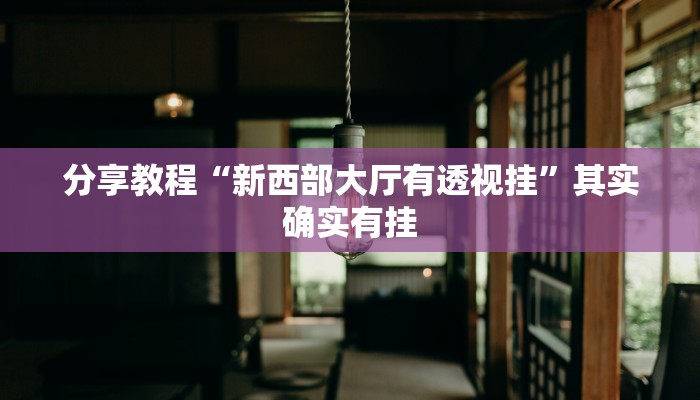 分享教程“新西部大厅有透视挂”其实确实有挂