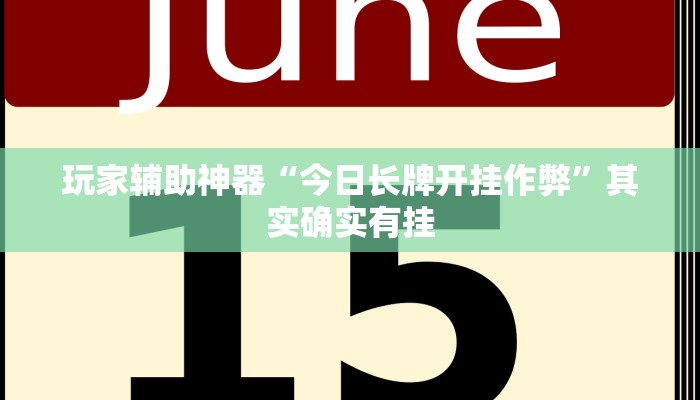 玩家辅助神器“今日长牌开挂作弊”其实确实有挂