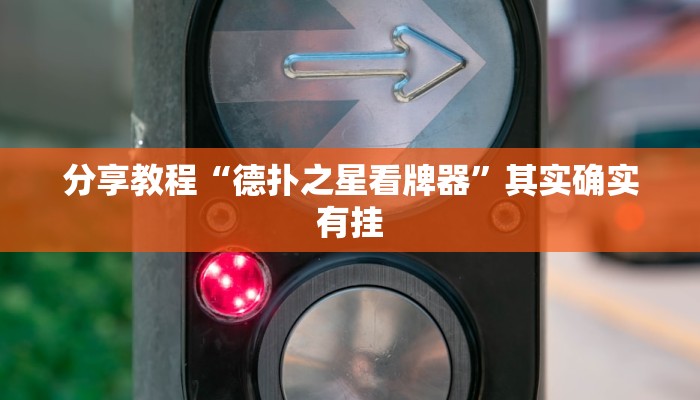 分享教程“德扑之星看牌器”其实确实有挂