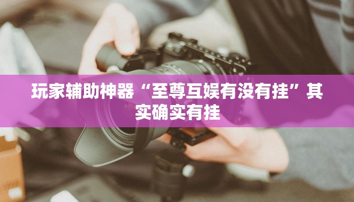 玩家辅助神器“至尊互娱有没有挂”其实确实有挂 玩家辅助神器“至尊互娱有没有挂”其实确实有挂