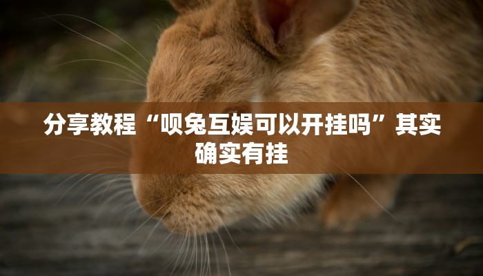 分享教程“呗兔互娱可以开挂吗”其实确实有挂