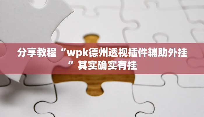 分享教程“wpk德州透视插件辅助外挂”其实确实有挂