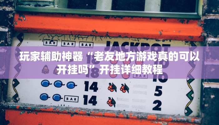 玩家辅助神器“老友地方游戏真的可以开挂吗”开挂详细教程