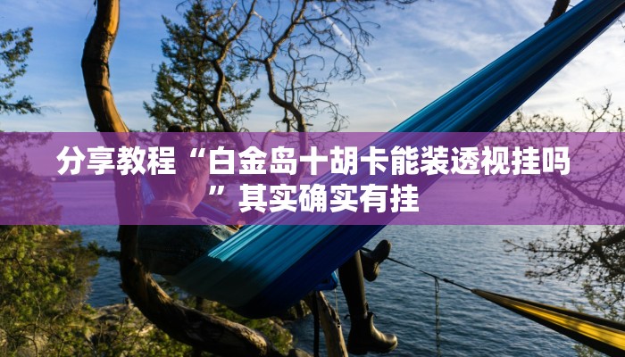 分享教程“白金岛十胡卡能装透视挂吗”其实确实有挂