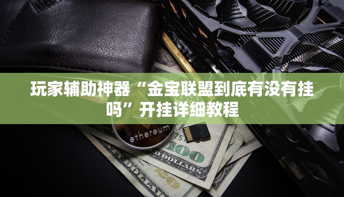 玩家辅助神器“金宝联盟到底有没有挂吗”开挂详细教程