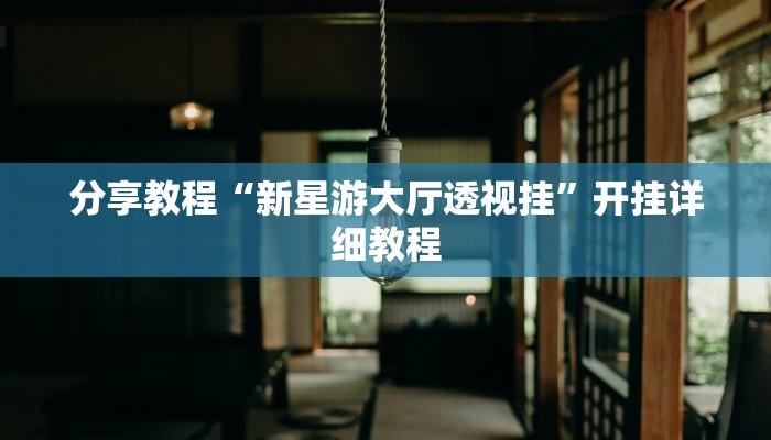 分享教程“新星游大厅透视挂”开挂详细教程