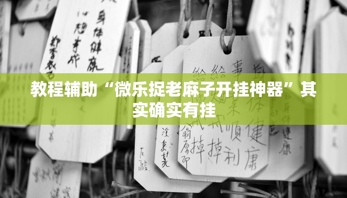 教程辅助“微乐捉老麻子开挂神器”其实确实有挂 教程辅助“微乐捉老麻子开挂神器”其实确实有挂