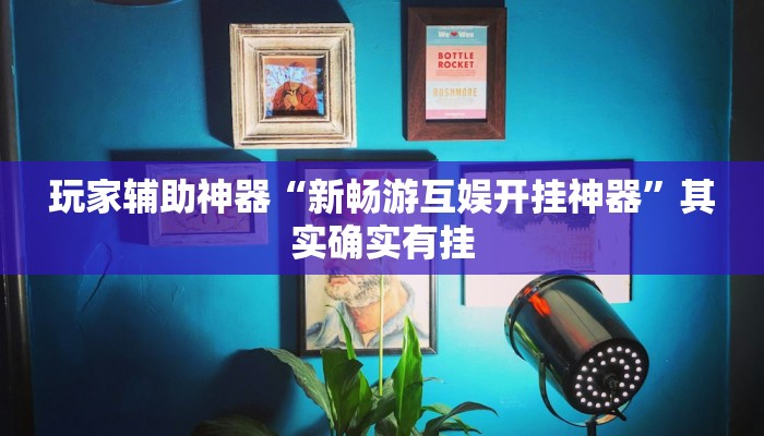 玩家辅助神器“新畅游互娱开挂神器”其实确实有挂