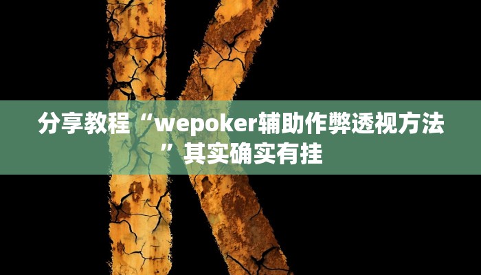 分享教程“wepoker辅助作弊透视方法”其实确实有挂