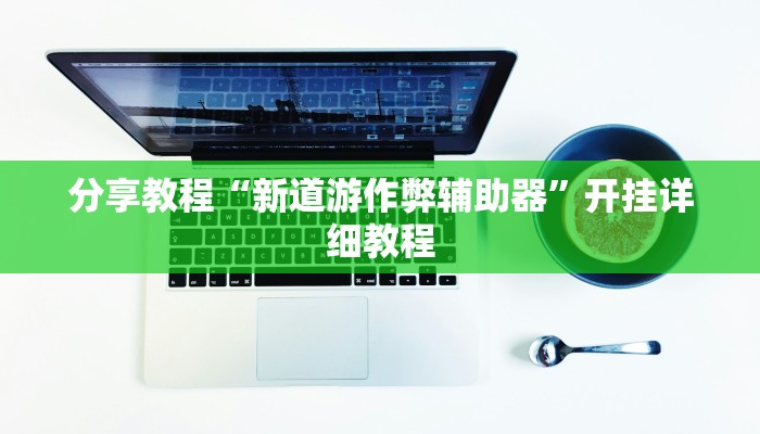 分享教程“新道游作弊辅助器”开挂详细教程
