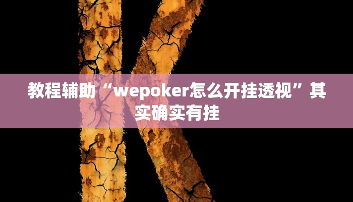 教程辅助“wepoker怎么开挂透视”其实确实有挂