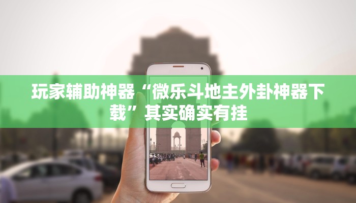 玩家辅助神器“微乐斗地主外卦神器下载”其实确实有挂