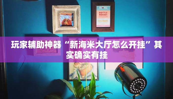 玩家辅助神器“新海米大厅怎么开挂”其实确实有挂