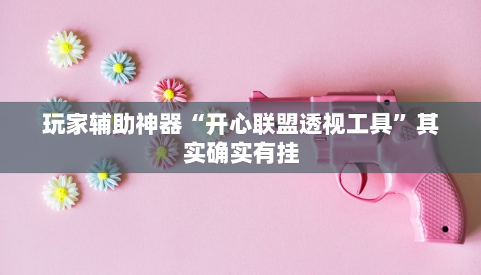 玩家辅助神器“开心联盟透视工具”其实确实有挂