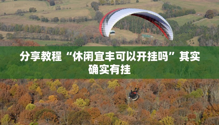 分享教程“休闲宜丰可以开挂吗”其实确实有挂