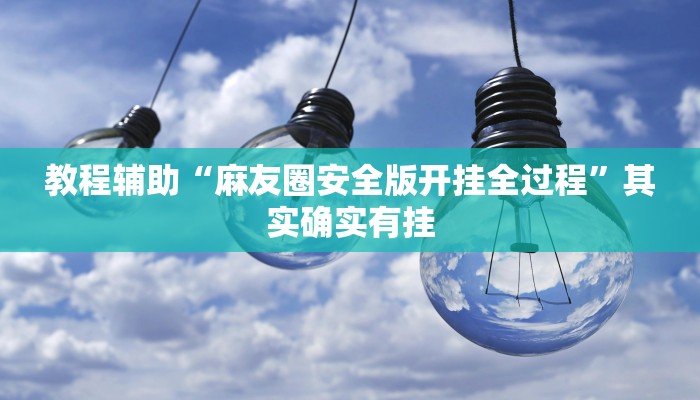 教程辅助“麻友圈安全版开挂全过程”其实确实有挂
