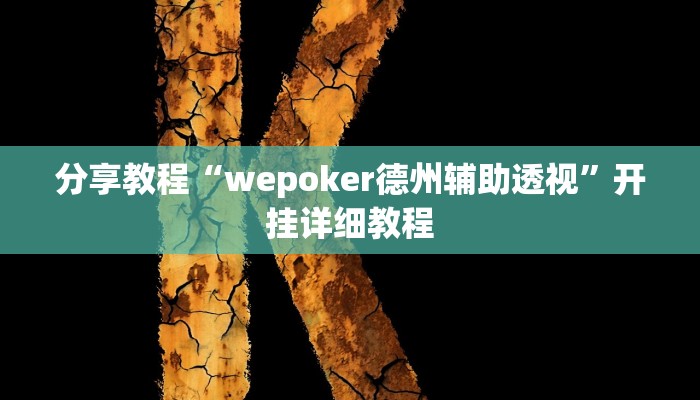 分享教程“wepoker德州辅助透视”开挂详细教程