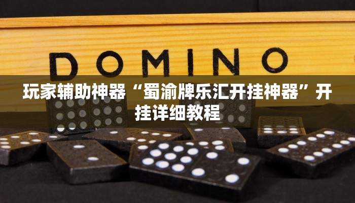 玩家辅助神器“蜀渝牌乐汇开挂神器”开挂详细教程