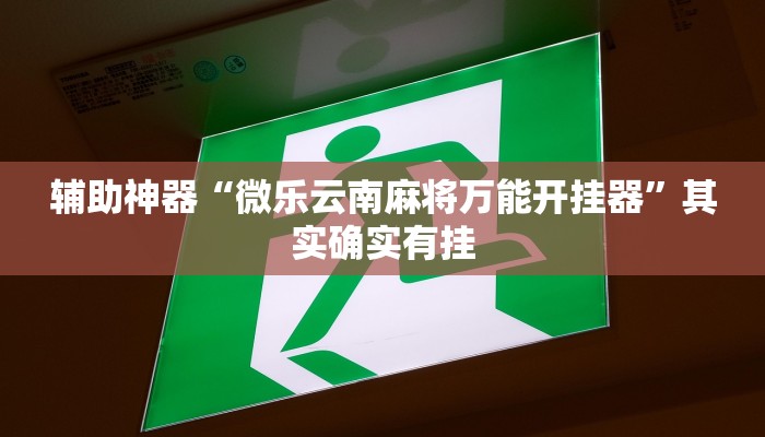 辅助神器“微乐云南麻将万能开挂器”其实确实有挂