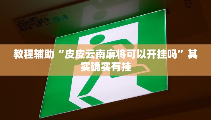 教程辅助“皮皮云南麻将可以开挂吗”其实确实有挂