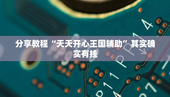 分享教程“天天开心王国辅助”其实确实有挂