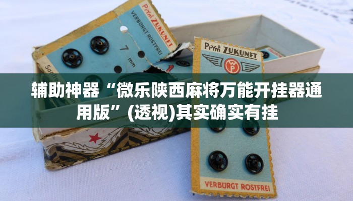 辅助神器“微乐陕西麻将万能开挂器通用版”(透视)其实确实有挂 辅助神器“微乐陕西麻将万能开挂器通用版”(透视)其实确实有挂