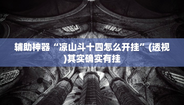 辅助神器“凉山斗十四怎么开挂”(透视)其实确实有挂
