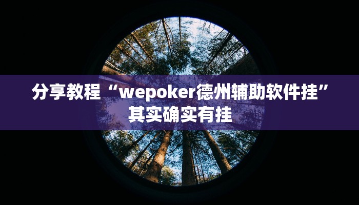 分享教程“wepoker德州辅助软件挂”其实确实有挂 分享教程“wepoker德州辅助软件挂”其实确实有挂