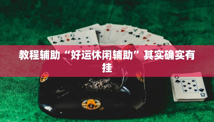 教程辅助“好运休闲辅助”其实确实有挂