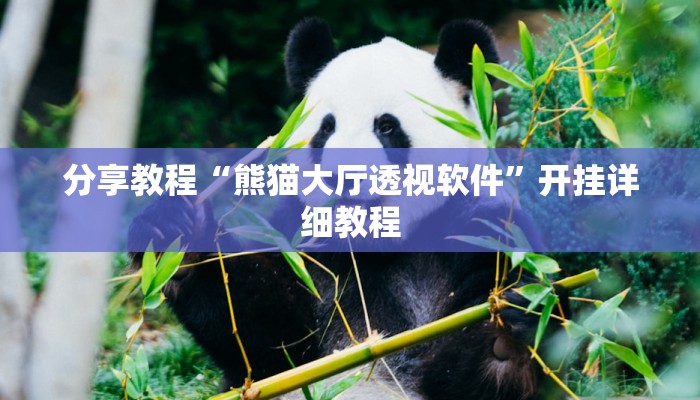 分享教程“熊猫大厅透视软件”开挂详细教程