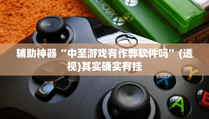 辅助神器“中至游戏有作弊软件吗”(透视)其实确实有挂 辅助神器“中至游戏有作弊软件吗”(透视)其实确实有挂