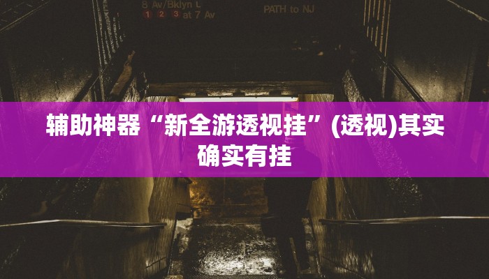 辅助神器“新全游透视挂”(透视)其实确实有挂