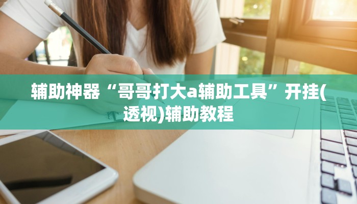 辅助神器“哥哥打大a辅助工具”开挂(透视)辅助教程