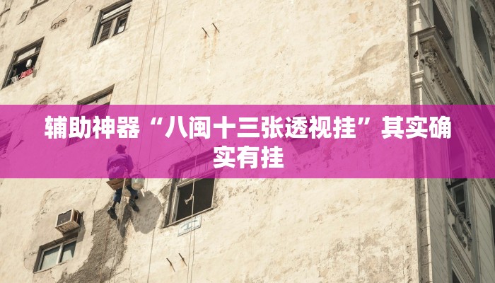 辅助神器“八闽十三张透视挂”其实确实有挂