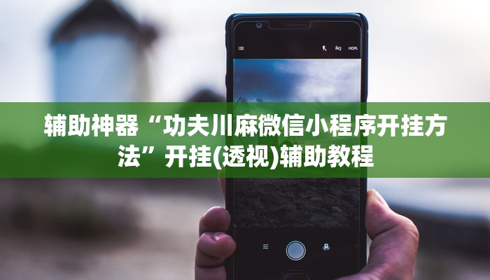 辅助神器“功夫川麻微信小程序开挂方法”开挂(透视)辅助教程