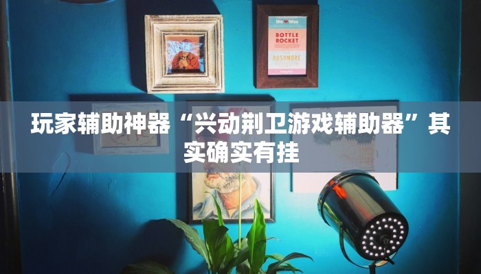 玩家辅助神器“兴动荆卫游戏辅助器”其实确实有挂