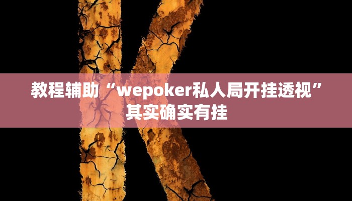 教程辅助“wepoker私人局开挂透视”其实确实有挂