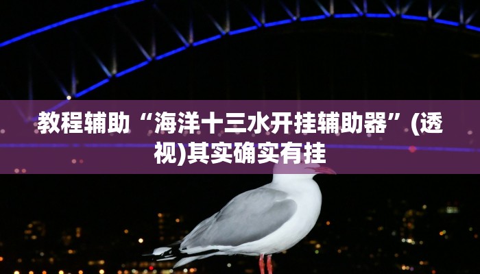教程辅助“海洋十三水开挂辅助器”(透视)其实确实有挂