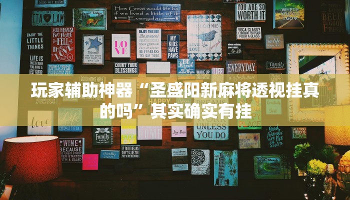 玩家辅助神器“圣盛阳新麻将透视挂真的吗”其实确实有挂