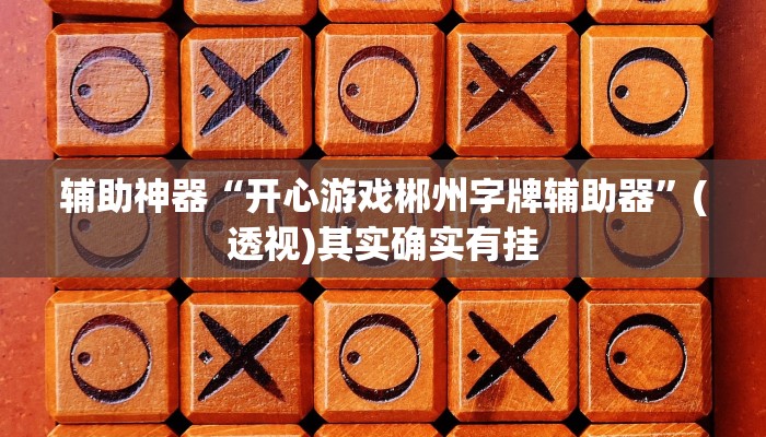 辅助神器“开心游戏郴州字牌辅助器”(透视)其实确实有挂
