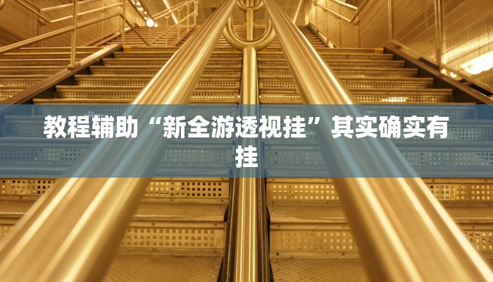 教程辅助“新全游透视挂”其实确实有挂