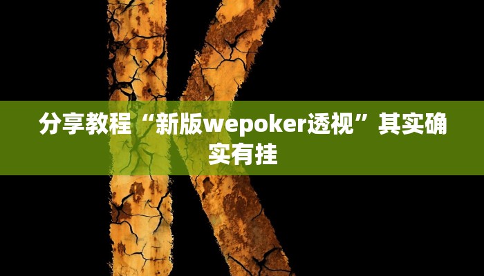 分享教程“新版wepoker透视”其实确实有挂