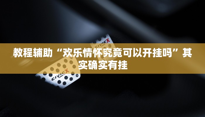 教程辅助“欢乐情怀究竟可以开挂吗”其实确实有挂