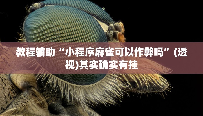 教程辅助“小程序麻雀可以作弊吗”(透视)其实确实有挂