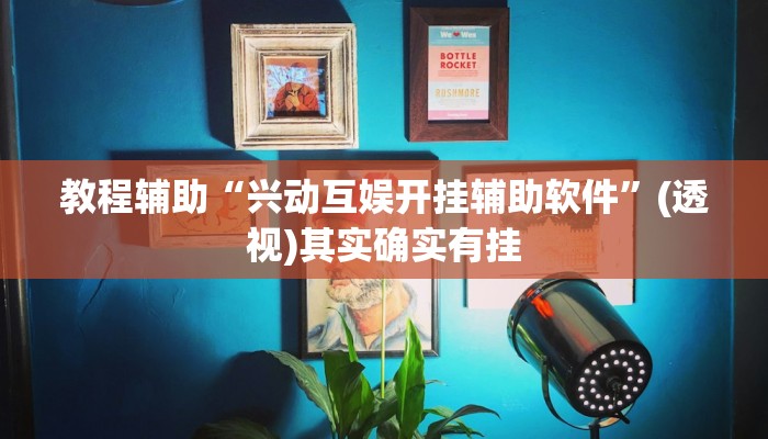 教程辅助“兴动互娱开挂辅助软件”(透视)其实确实有挂