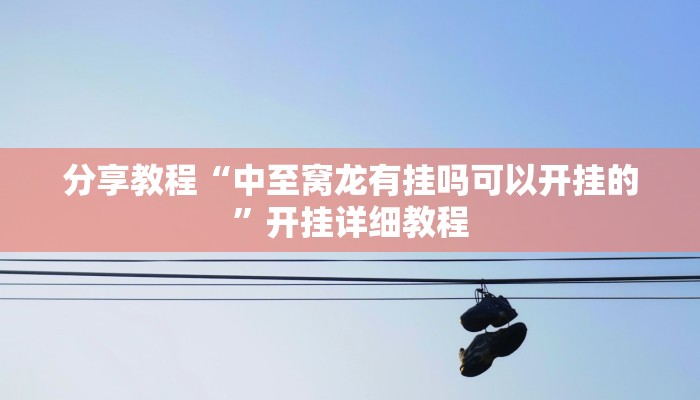 分享教程“中至窝龙有挂吗可以开挂的”开挂详细教程