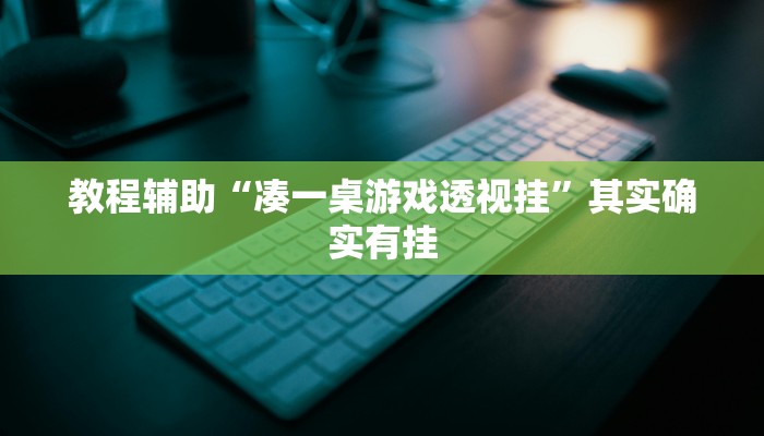教程辅助“凑一桌游戏透视挂”其实确实有挂