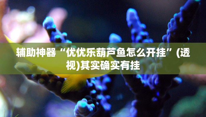 辅助神器“优优乐葫芦鱼怎么开挂”(透视)其实确实有挂