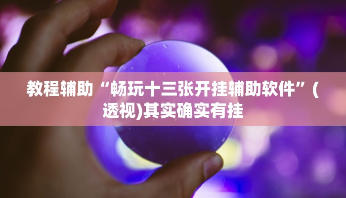 教程辅助“畅玩十三张开挂辅助软件”(透视)其实确实有挂